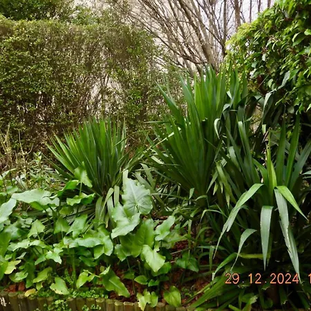 Casa de hóspedes Iris Garden